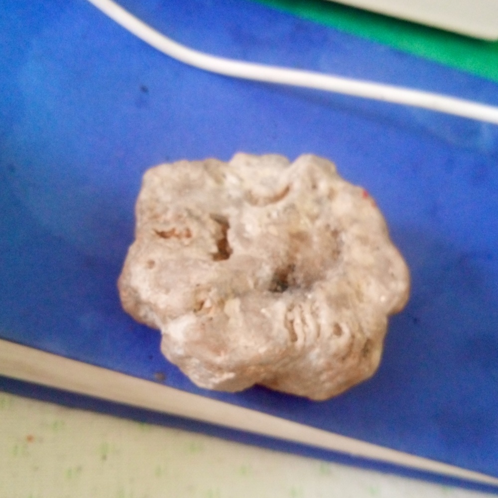 A rock